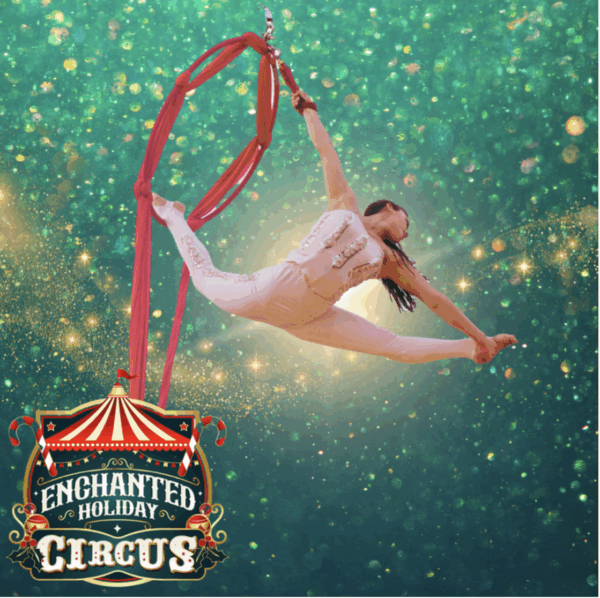 Enchanted Holiday Circus VIP TICKETS - Image 6