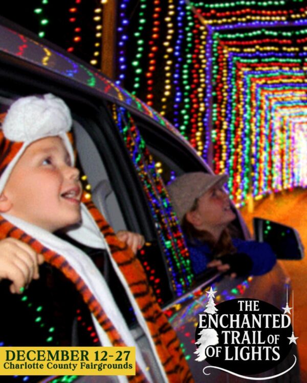 The Enchanted Trail of Lights